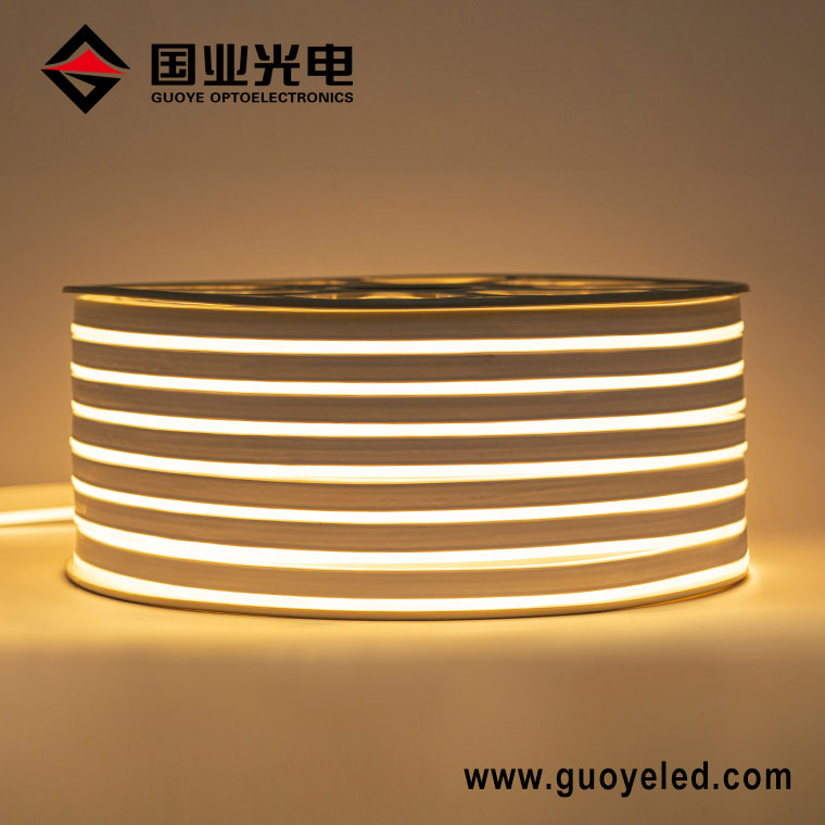 220v led neon light
