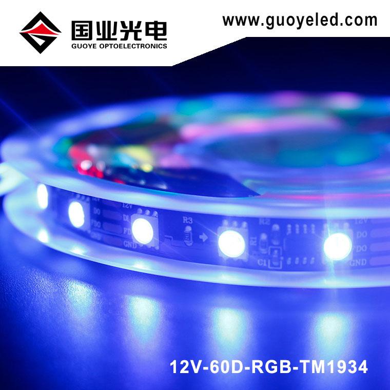 TM1934 Pixel led strip