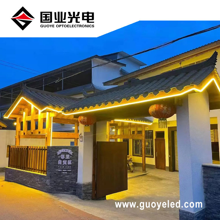 110v 220v led strip light