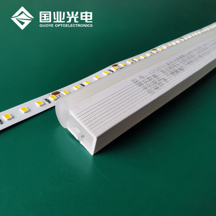 Neon tube flex led