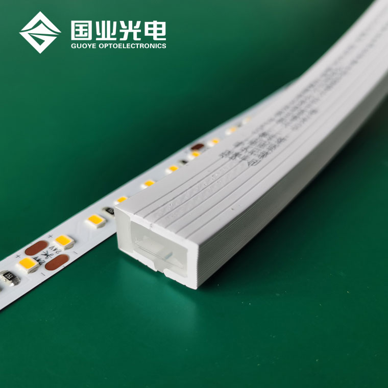 Neon flex led strip