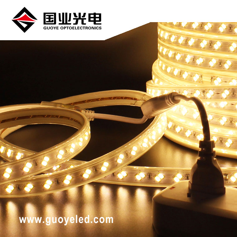 110v 220v led strip light