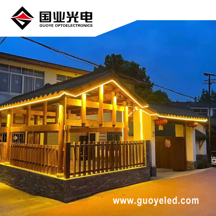 110v 220v led strip light