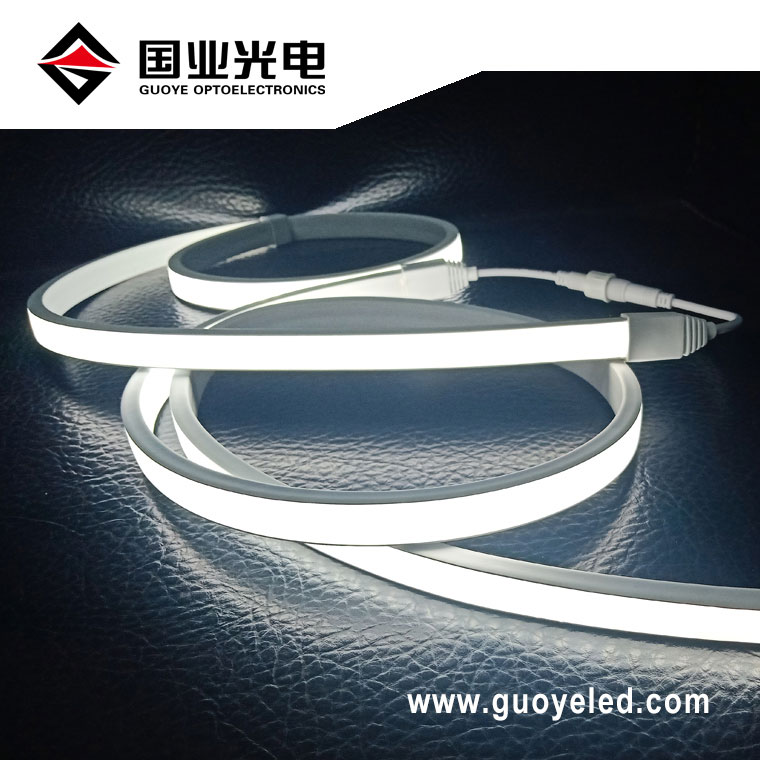 Neon led strip 220v
