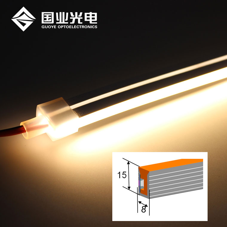 Silicone neon led lights