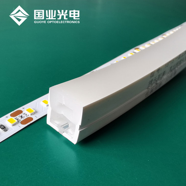 Neon led flexible light